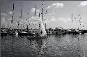 bmw sailing cup 09
